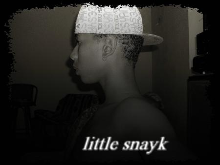 litell snayk